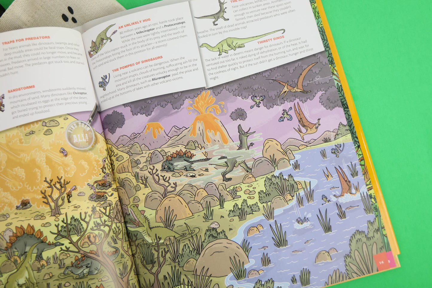 Seek & Find Dinosaurs