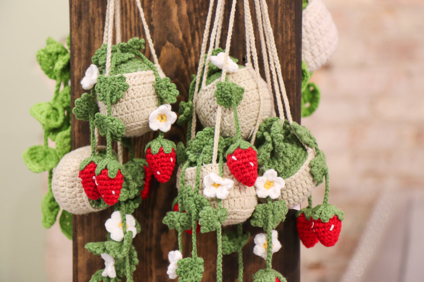 Crochet Hanging Plant