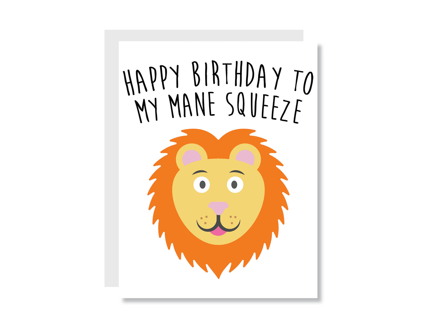More Funny Birthday Greeting Card Set or Single - Set #13