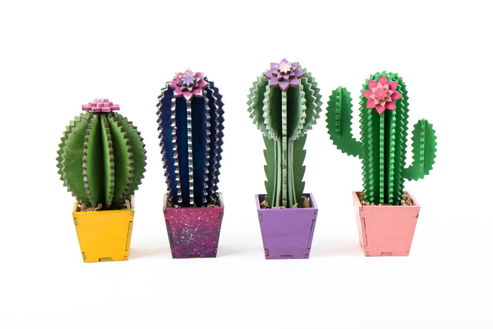 DIY Cactus Project - Build Your Own Cactus Kit