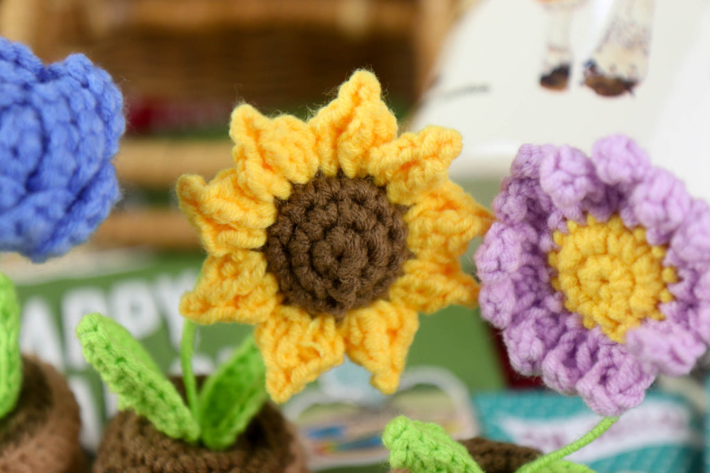 Hand-Knitted Flowers & Cacti