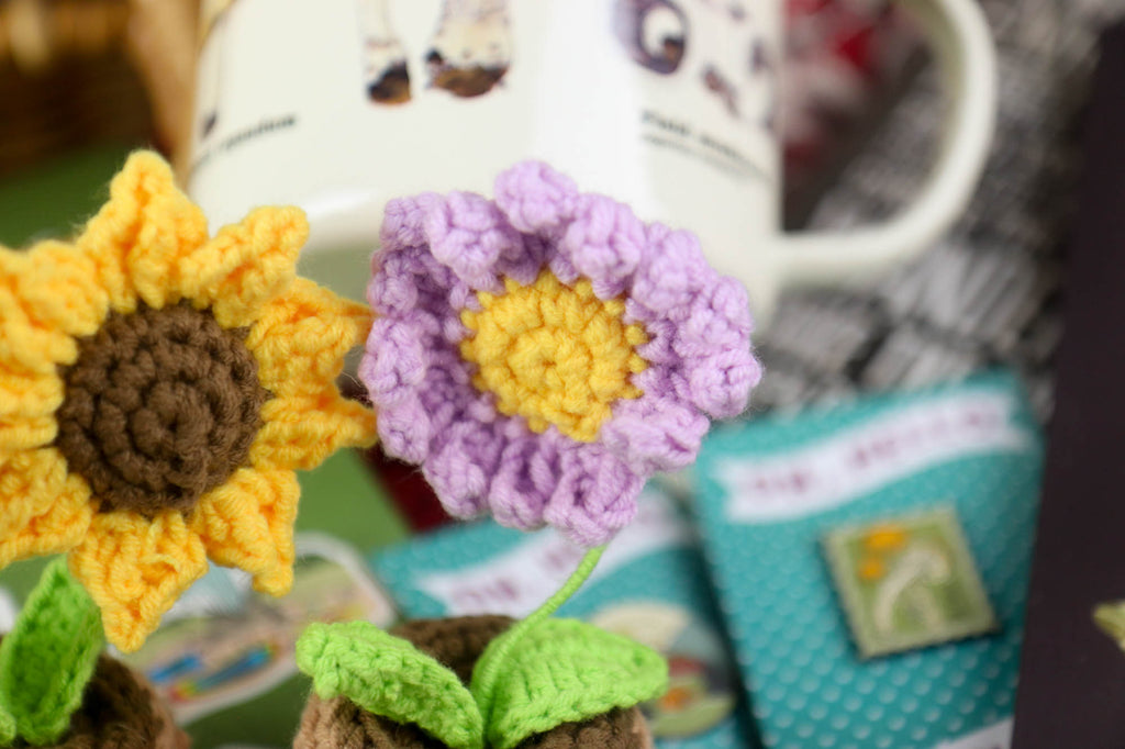 Hand-Knitted Flowers & Cacti