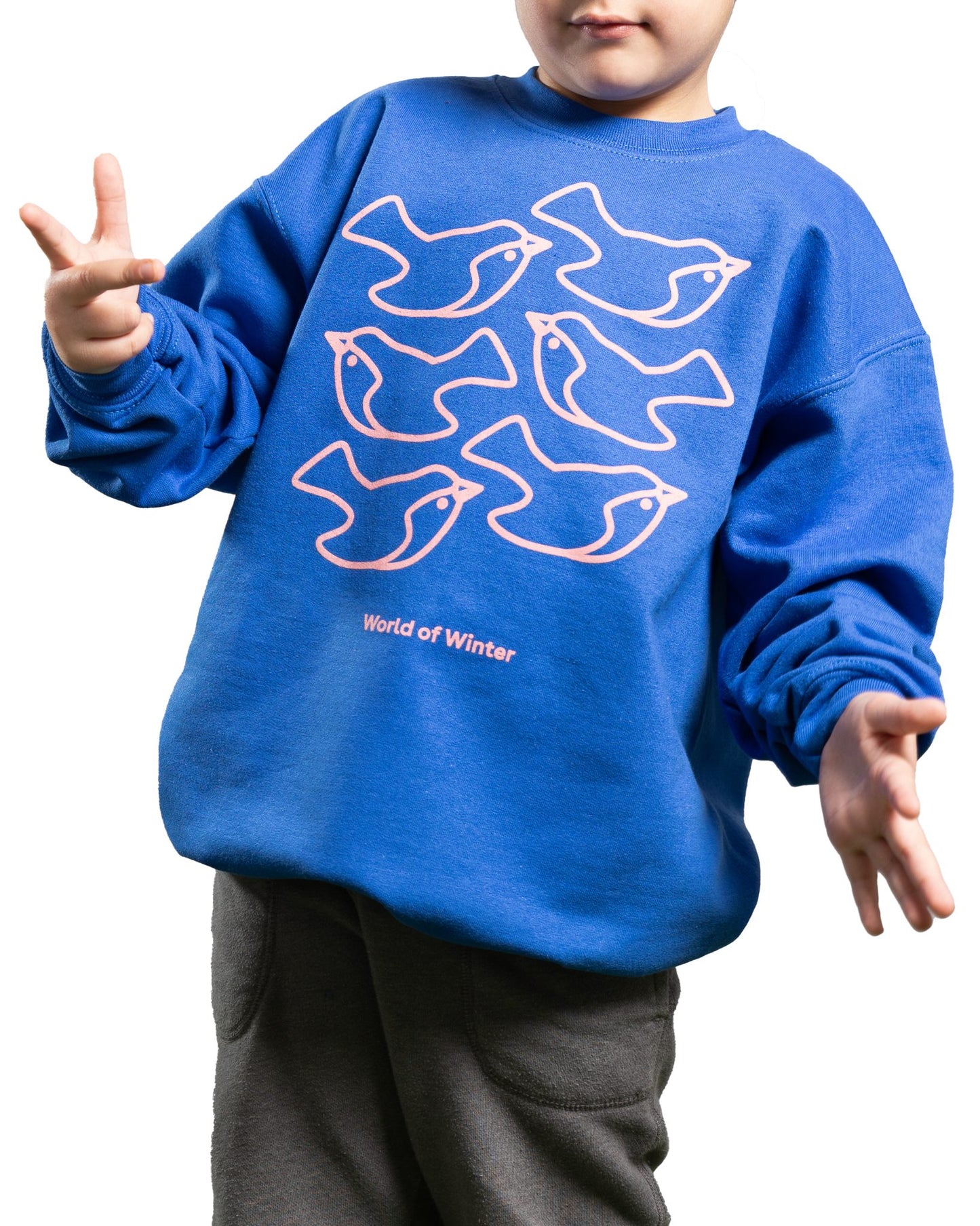 Blue Youth Crewneck - WoW