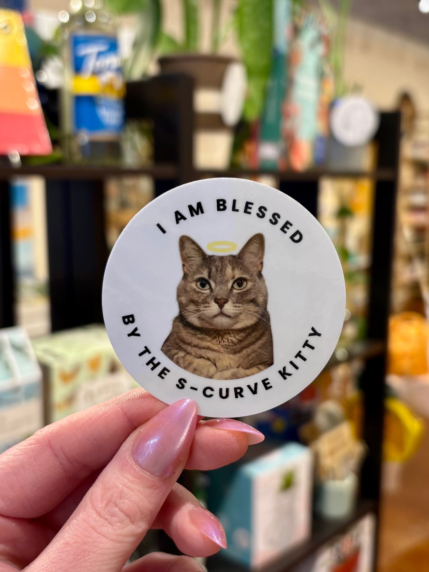 S-Curve Kitty Vinyl Sticker