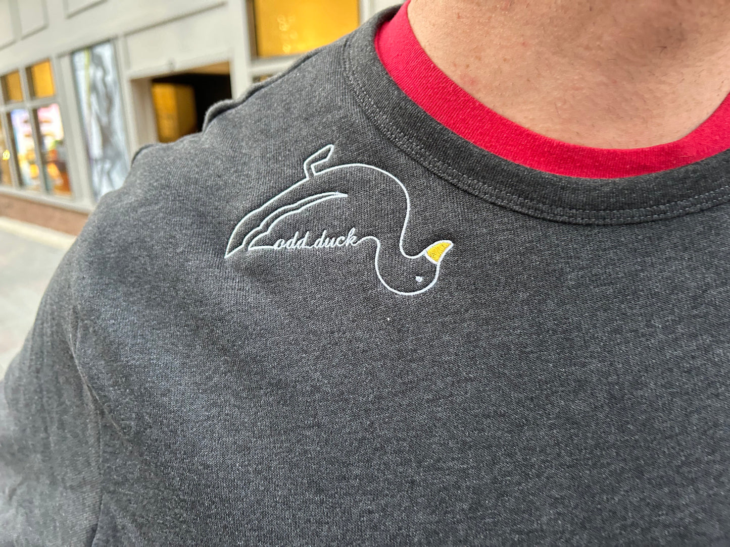 Embroidered Odd Duck Sweatshirt - Grey