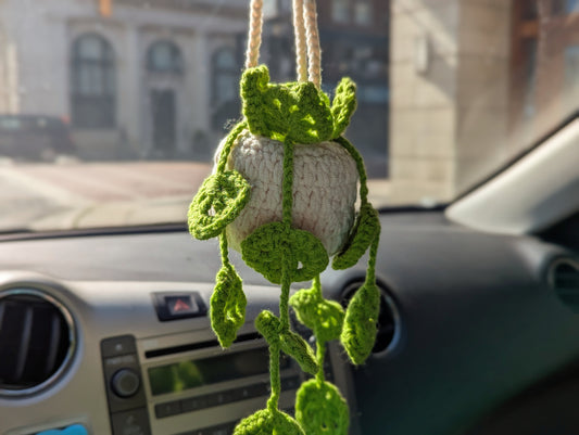 Crochet Hanging Plant