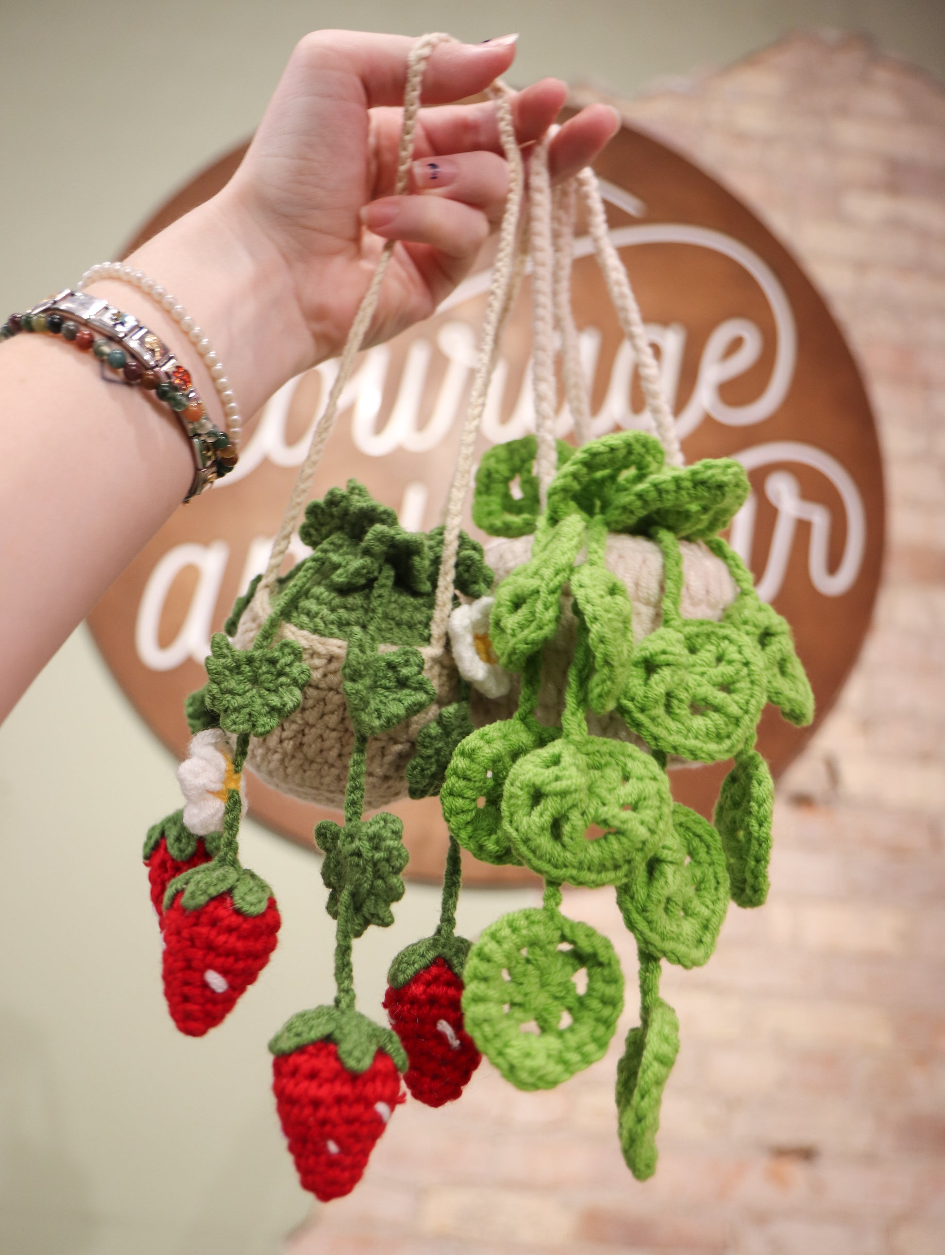 crochet hanging succulent Crochet Hanging Plant