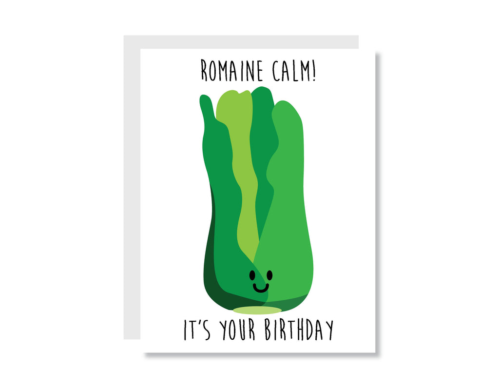 Even More Funny Birthday Greeting Card Set or Single - Set #20