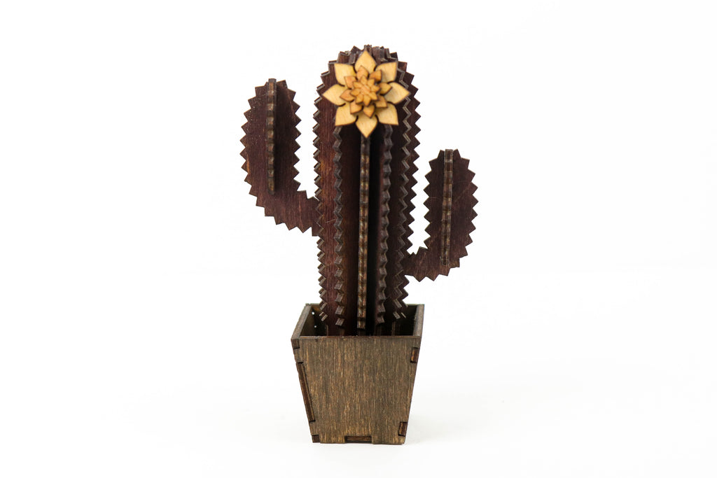 DIY Cactus Project - Build Your Own Cactus Kit