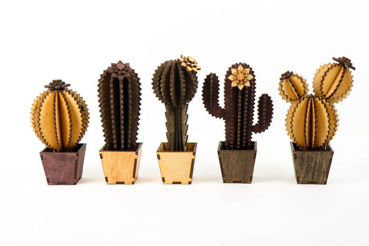 DIY Cactus Project - Build Your Own Cactus Kit