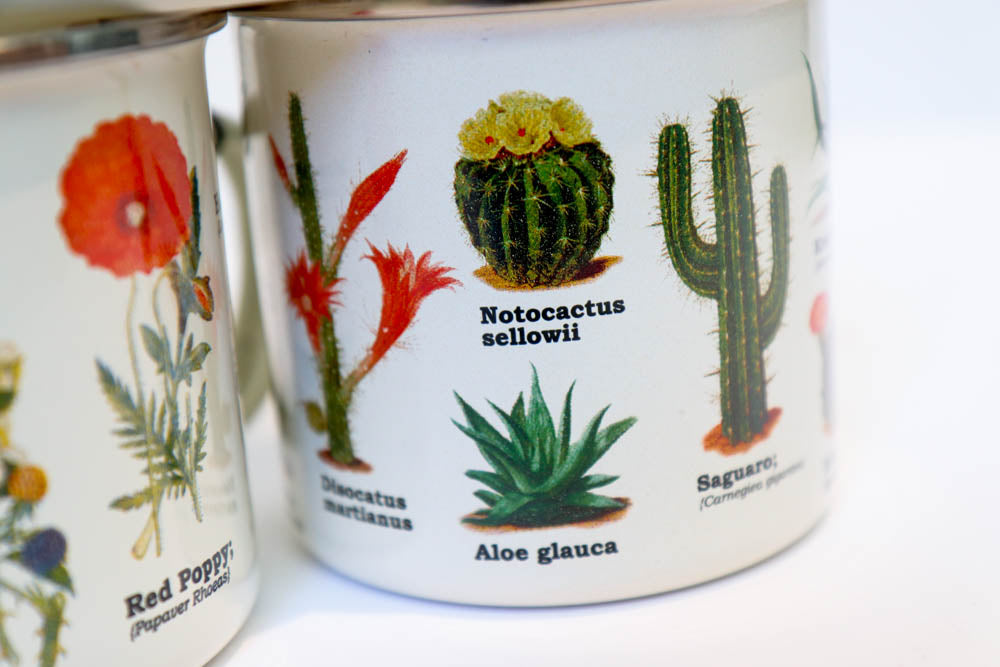 Cacti Campfire Mug