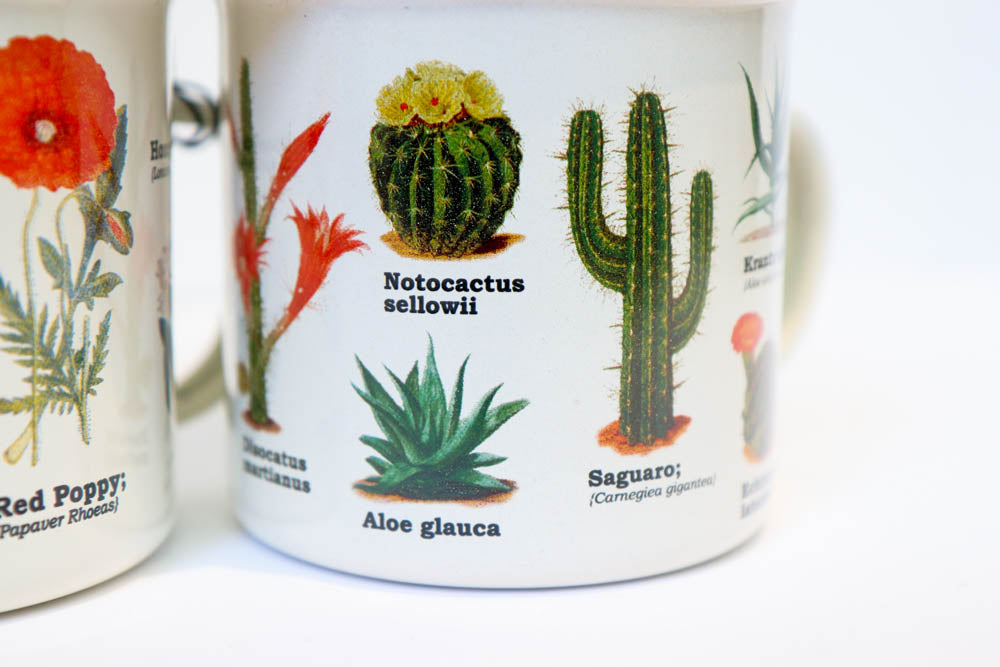 Cacti Campfire Mug