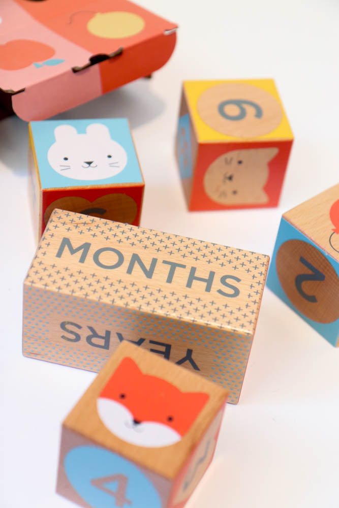 Wooden Milestone Baby Blocks