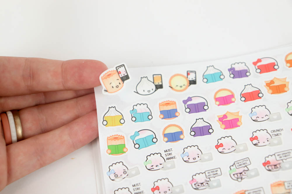 Reusable Sticker Book