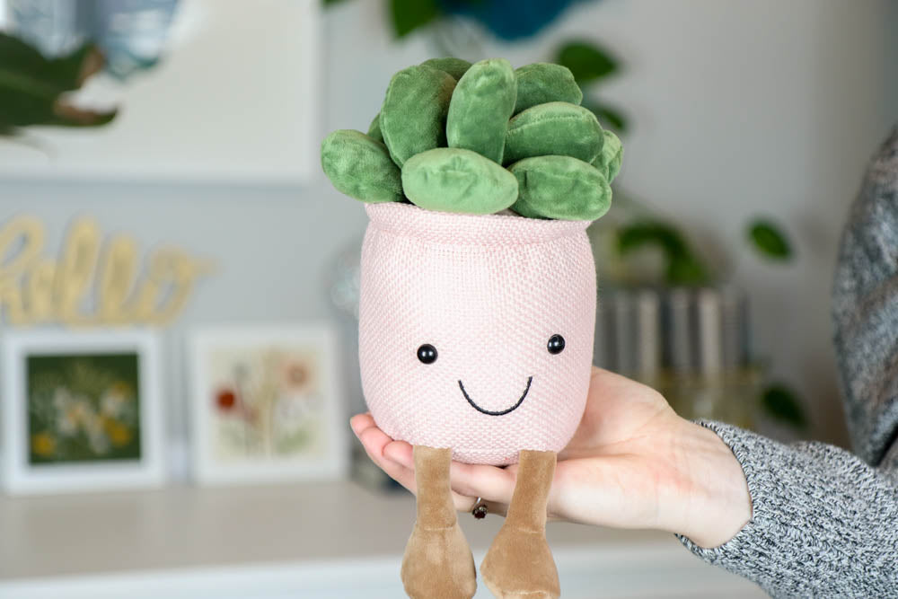 Succulent Plush