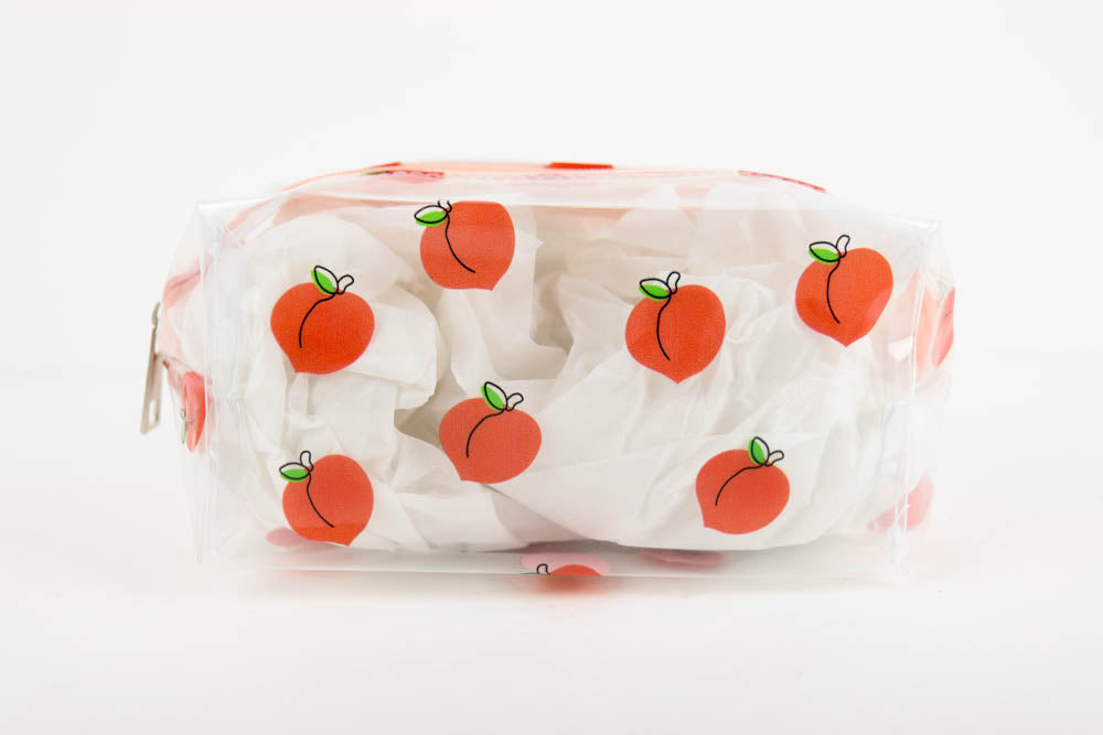 Clear Zipper Pouch