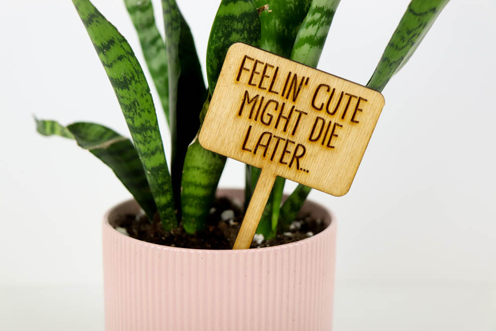 Laser Cut Wooden Plant Sign