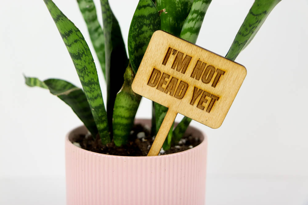 Laser Cut Wooden Plant Sign