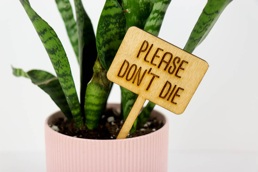 Laser Cut Wooden Plant Sign