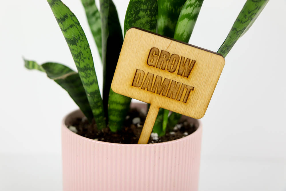 Laser Cut Wooden Plant Sign