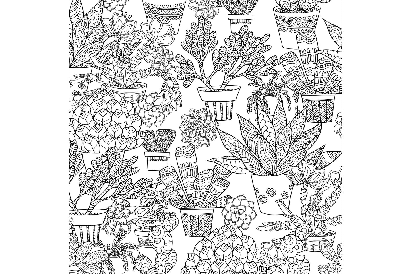 Succulents Adult Coloring Book