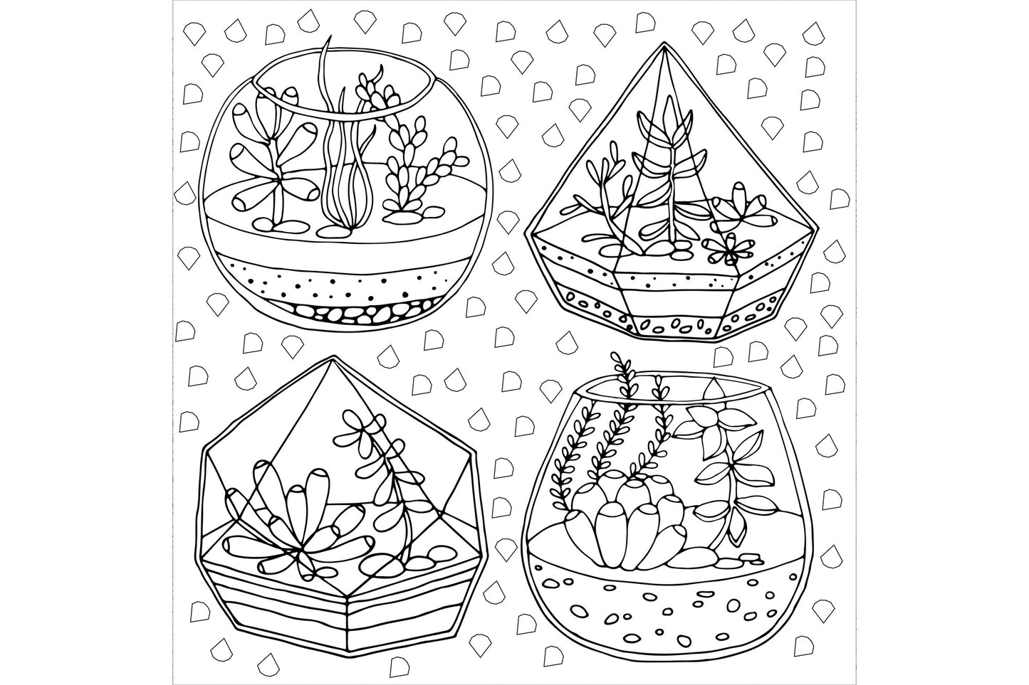 Succulents Adult Coloring Book